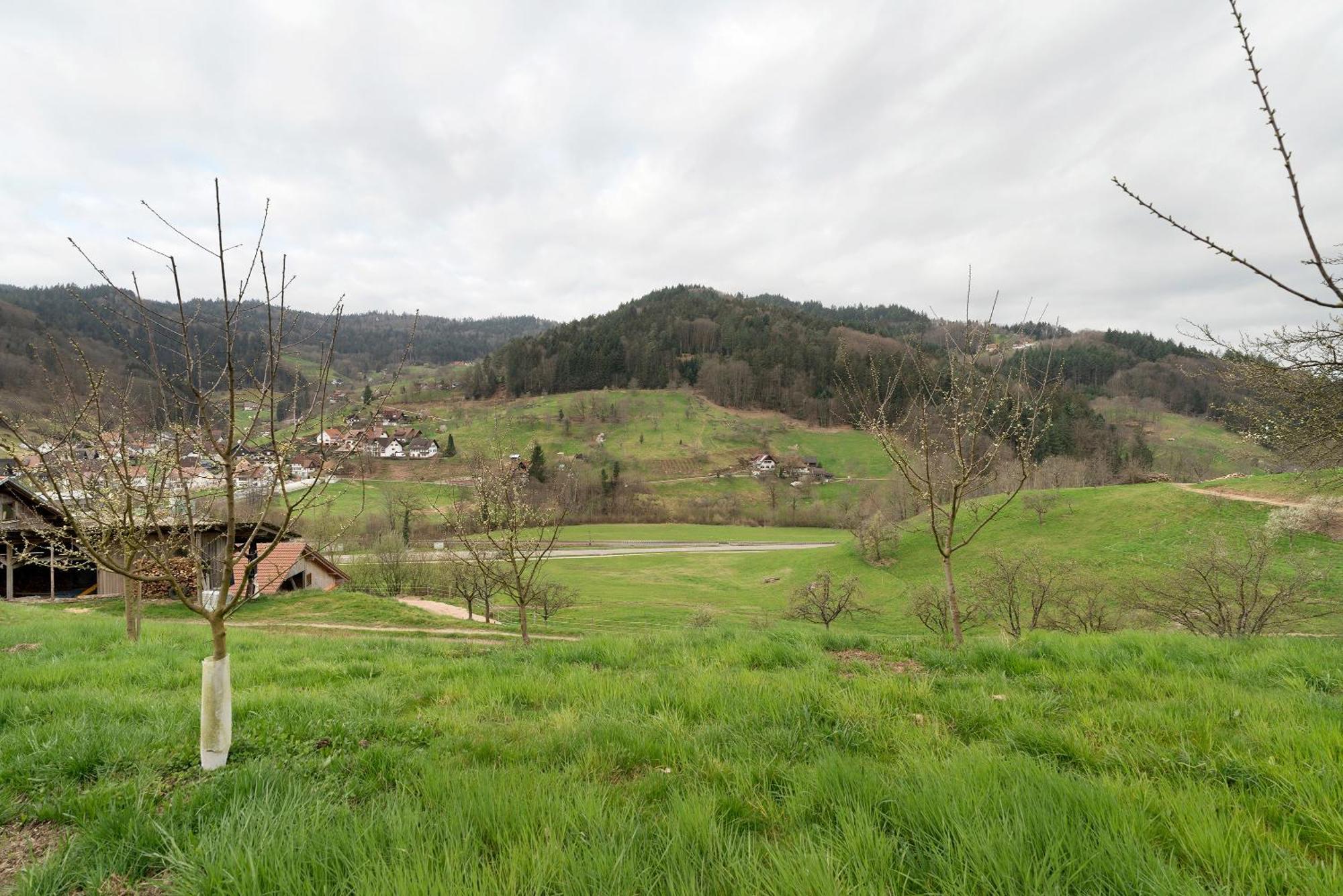 Haus Am Schroffen Apartment อ็อทเทนเฮอเฟน ภายนอก รูปภาพ